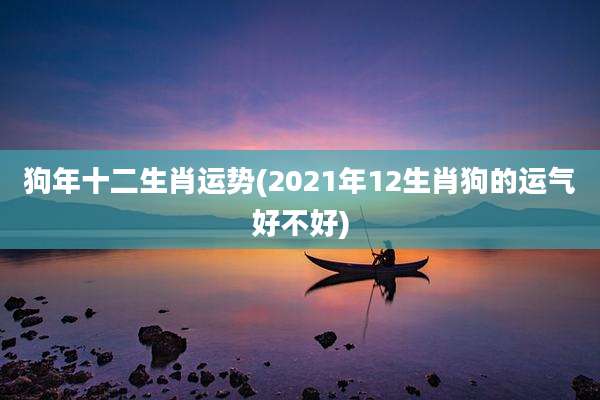狗年十二生肖运势(2021年12生肖狗的运气好不好)