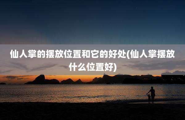仙人掌的摆放位置和它的好处(仙人掌摆放什么位置好)