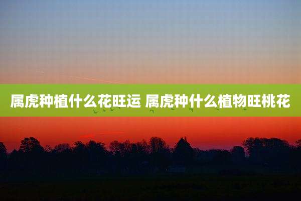 属虎种植什么花旺运 属虎种什么植物旺桃花