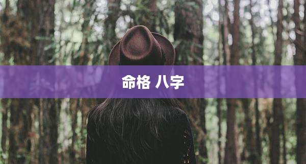 命格 八字