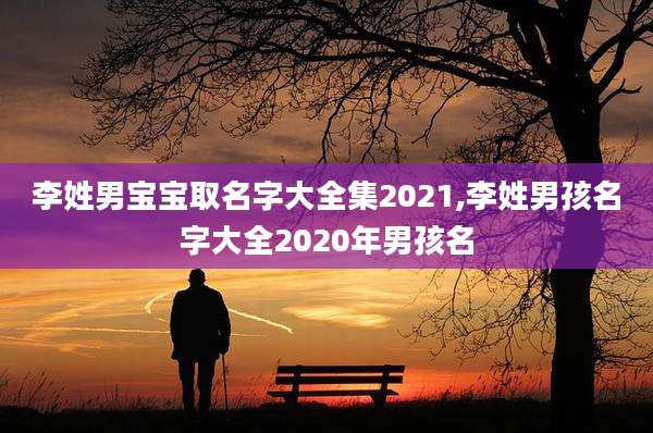李姓男宝宝取名字大全集2021,李姓男孩名字大全2020年男孩名