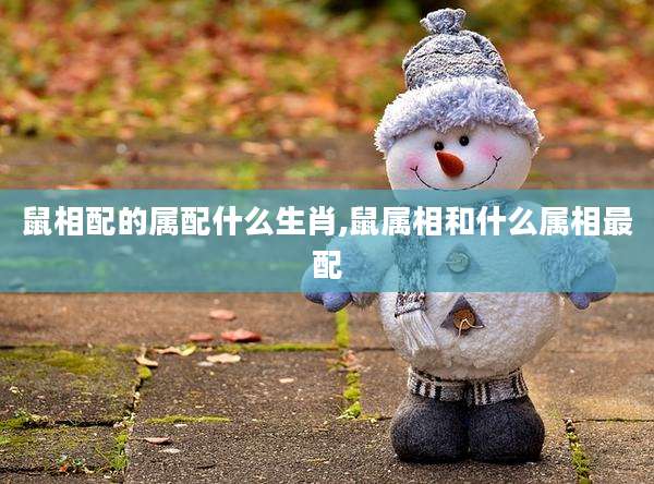 鼠相配的属配什么生肖,鼠属相和什么属相最配