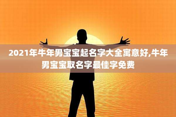 2021年牛年男宝宝起名字大全寓意好,牛年男宝宝取名字最佳字免费