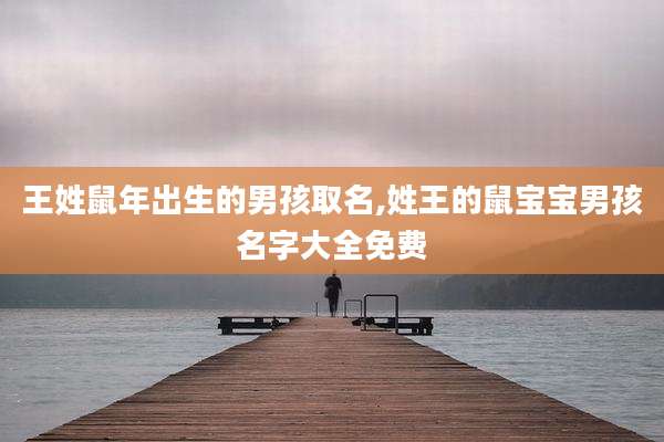 王姓鼠年出生的男孩取名,姓王的鼠宝宝男孩名字大全免费