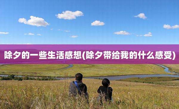 除夕的一些生活感想(除夕带给我的什么感受)