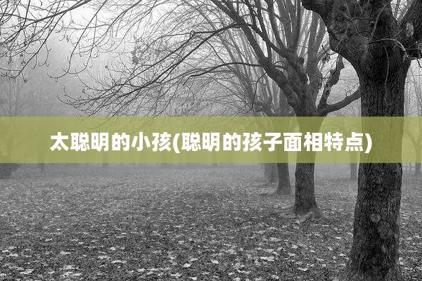 太聪明的小孩(聪明的孩子面相特点)