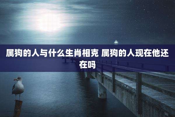 属狗的人与什么生肖相克 属狗的人现在他还在吗