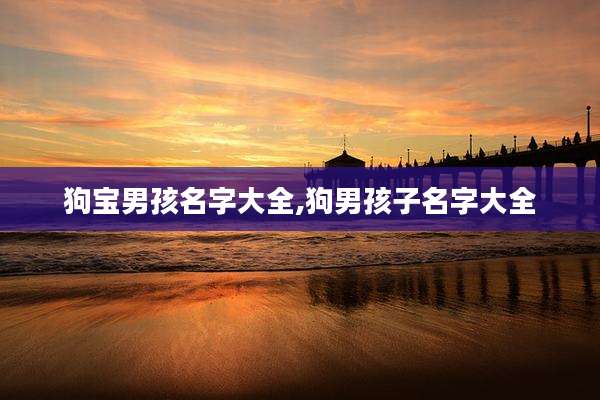 狗宝男孩名字大全,狗男孩子名字大全
