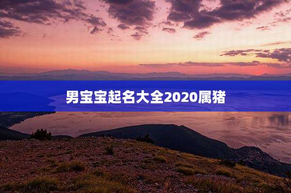 男宝宝起名大全2020属猪