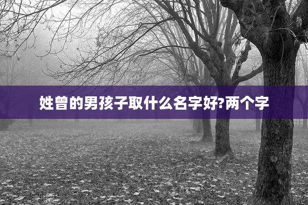 姓曾的男孩子取什么名字好?两个字