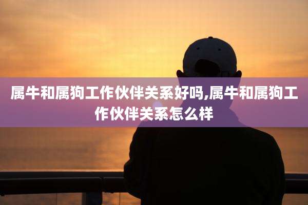 属牛和属狗工作伙伴关系好吗,属牛和属狗工作伙伴关系怎么样