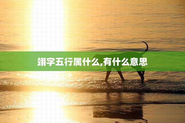 翊字五行属什么,有什么意思