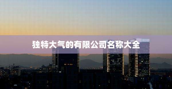 独特大气的有限公司名称大全