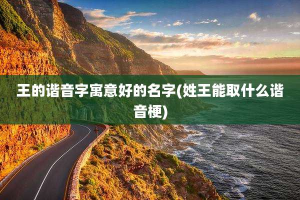 王的谐音字寓意好的名字(姓王能取什么谐音梗)