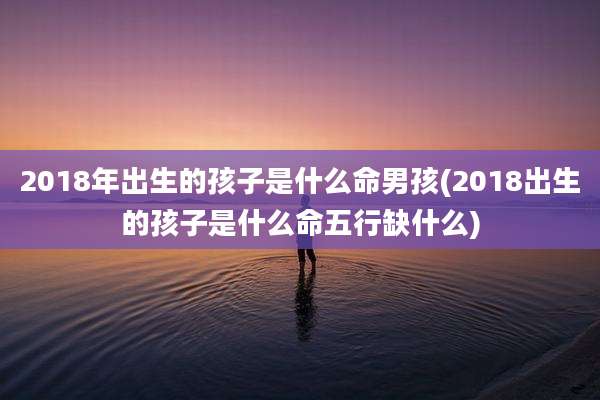 2018年出生的孩子是什么命男孩(2018出生的孩子是什么命五行缺什么)