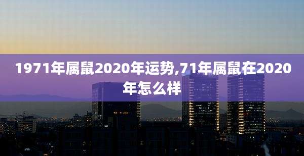 1971年属鼠2020年运势,71年属鼠在2020年怎么样