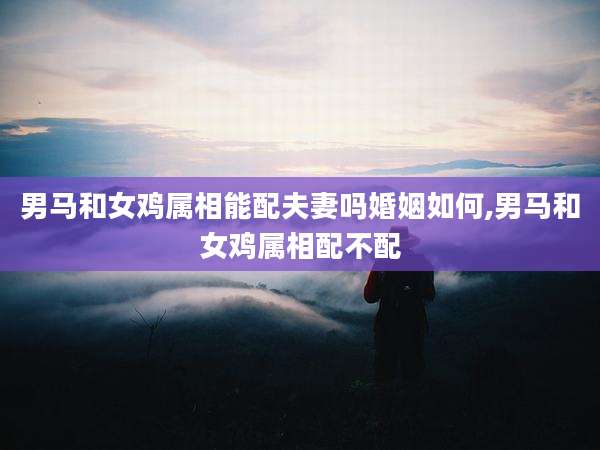男马和女鸡属相能配夫妻吗婚姻如何,男马和女鸡属相配不配
