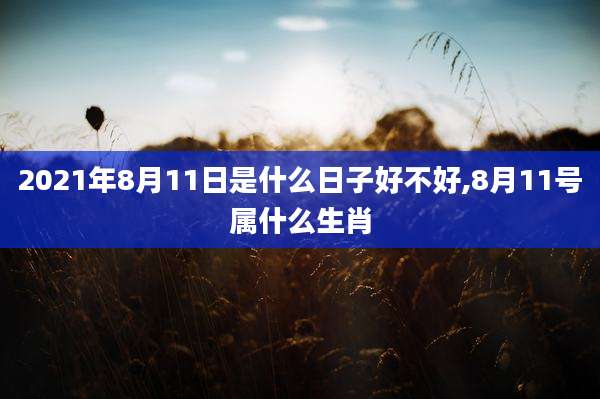 2021年8月11日是什么日子好不好,8月11号属什么生肖