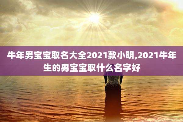 牛年男宝宝取名大全2021款小明,2021牛年生的男宝宝取什么名字好