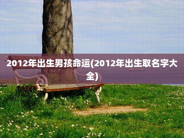 2012年出生男孩命运(2012年出生取名字大全)