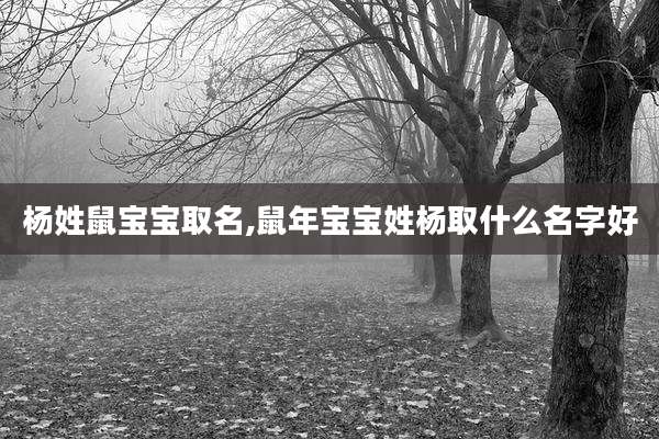 杨姓鼠宝宝取名,鼠年宝宝姓杨取什么名字好