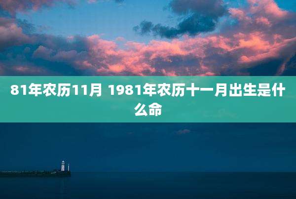 81年农历11月 1981年农历十一月出生是什么命