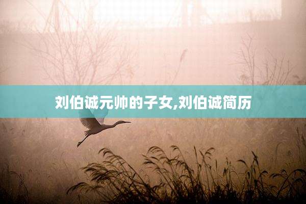 刘伯诚元帅的子女,刘伯诚简历