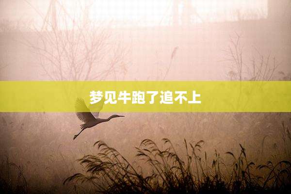 梦见牛跑了追不上