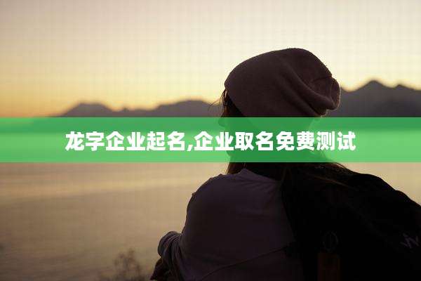 龙字企业起名,企业取名免费测试