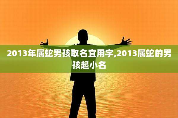 2013年属蛇男孩取名宜用字,2013属蛇的男孩起小名