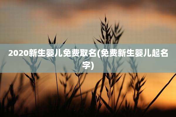 2020新生婴儿免费取名(免费新生婴儿起名字)