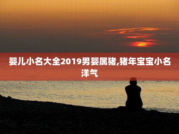 婴儿小名大全2019男婴属猪,猪年宝宝小名洋气