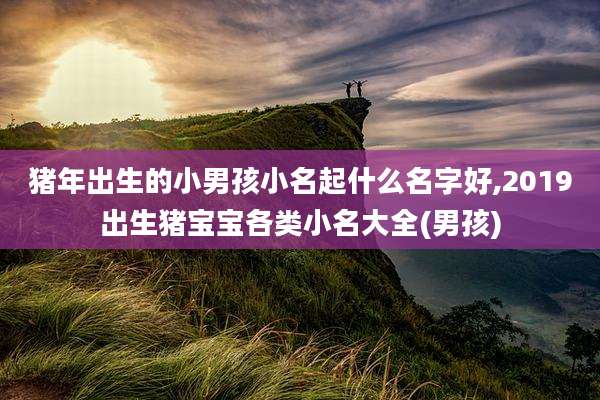猪年出生的小男孩小名起什么名字好,2019出生猪宝宝各类小名大全(男孩)