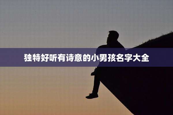 独特好听有诗意的小男孩名字大全