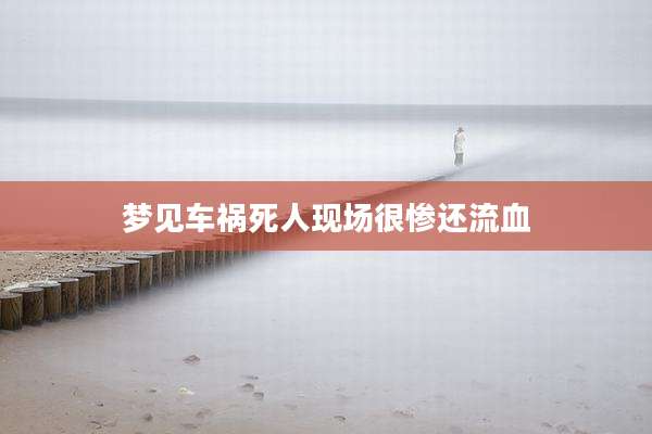 梦见车祸死人现场很惨还流血