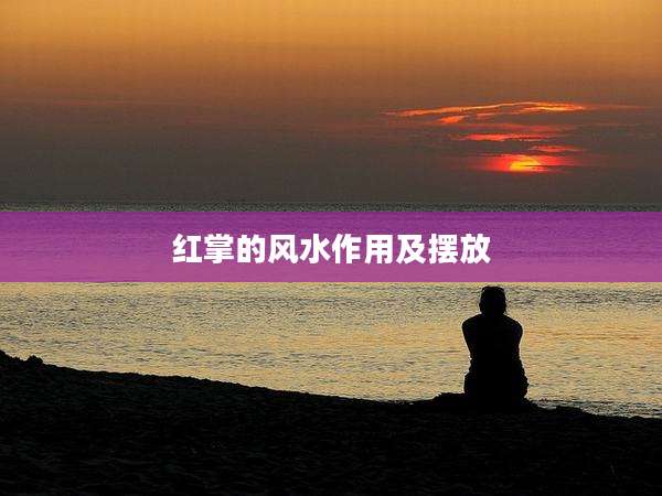 红掌的风水作用及摆放