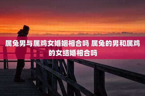 属兔男与属鸡女婚姻相合吗 属兔的男和属鸡的女结婚相合吗