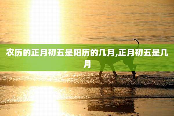 农历的正月初五是阳历的几月,正月初五是几月