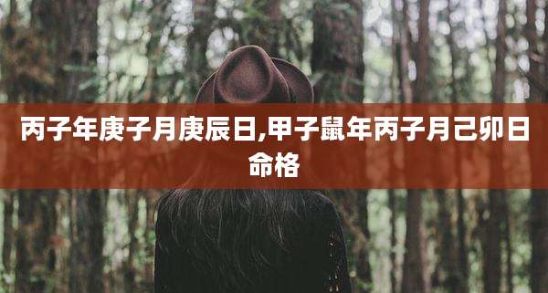 丙子年庚子月庚辰日,甲子鼠年丙子月己卯日命格