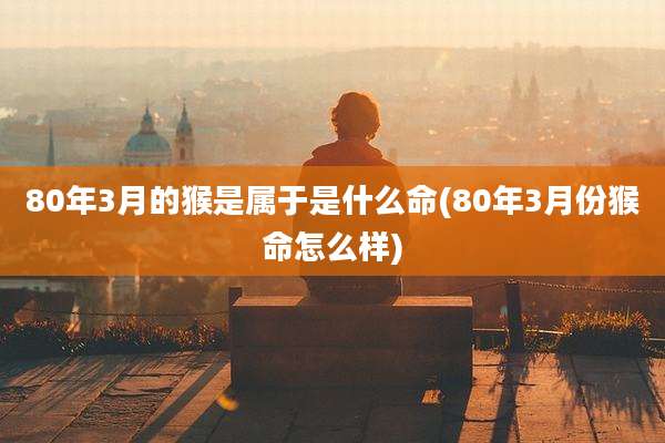80年3月的猴是属于是什么命(80年3月份猴命怎么样)