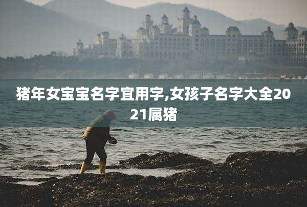 猪年女宝宝名字宜用字,女孩子名字大全2021属猪