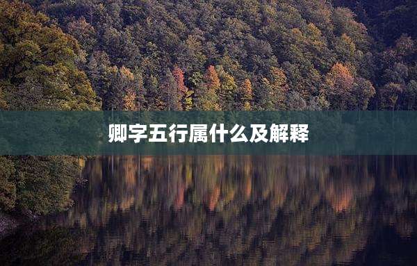 卿字五行属什么及解释