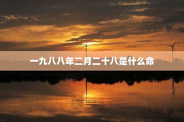 一九八八年二月二十八是什么命