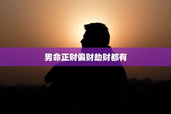 男命正财偏财劫财都有