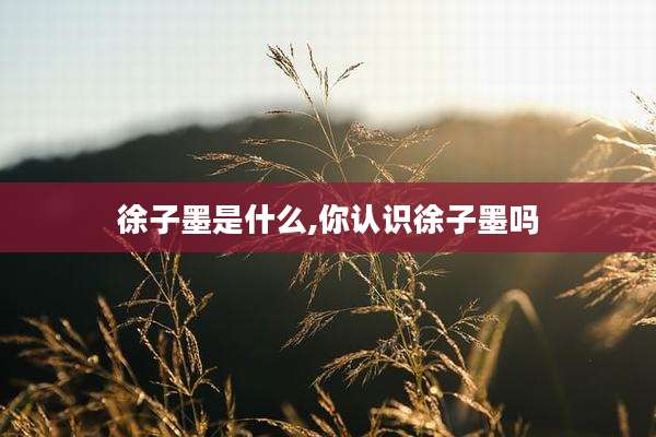徐子墨是什么,你认识徐子墨吗