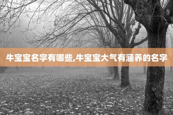 牛宝宝名字有哪些,牛宝宝大气有涵养的名字