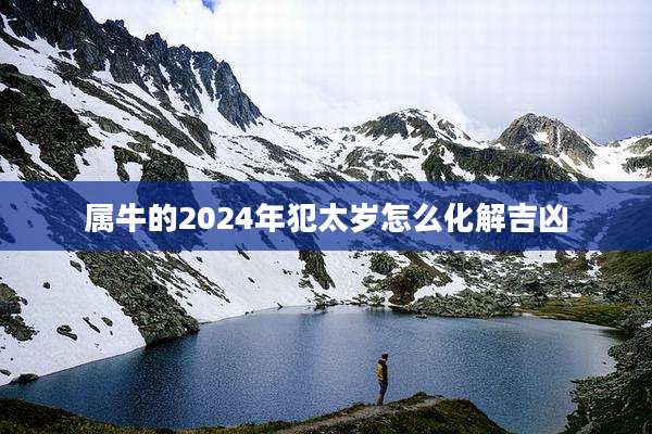 属牛的2024年犯太岁怎么化解吉凶