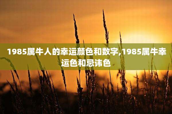 1985属牛人的幸运颜色和数字,1985属牛幸运色和忌讳色
