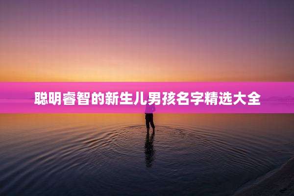 聪明睿智的新生儿男孩名字精选大全