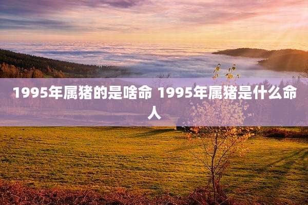 1995年属猪的是啥命 1995年属猪是什么命人